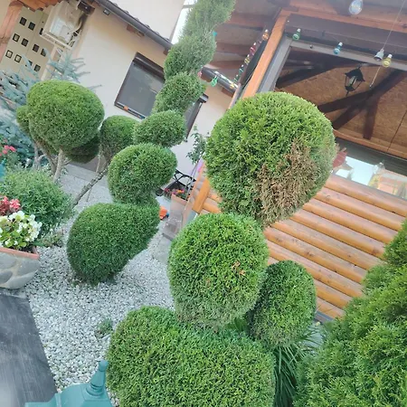 Ruza Vetrova Zlatibor